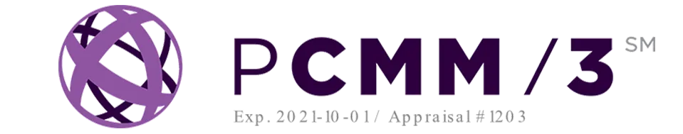 CMMI Level 5 & PCMM Level 3 Company - Advaita Enterprises International service image